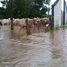 Las ayudas humanitarias se gestionan con la Unidad Nacional para la Gestión del Riesgo de Desastres y serán entregadas a los damnificados.